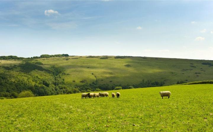 Zeal Farm Bed and Breakfast Dulverton Buitenkant foto