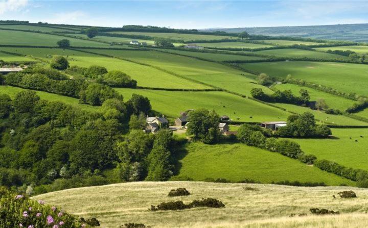 Zeal Farm Bed and Breakfast Dulverton Buitenkant foto