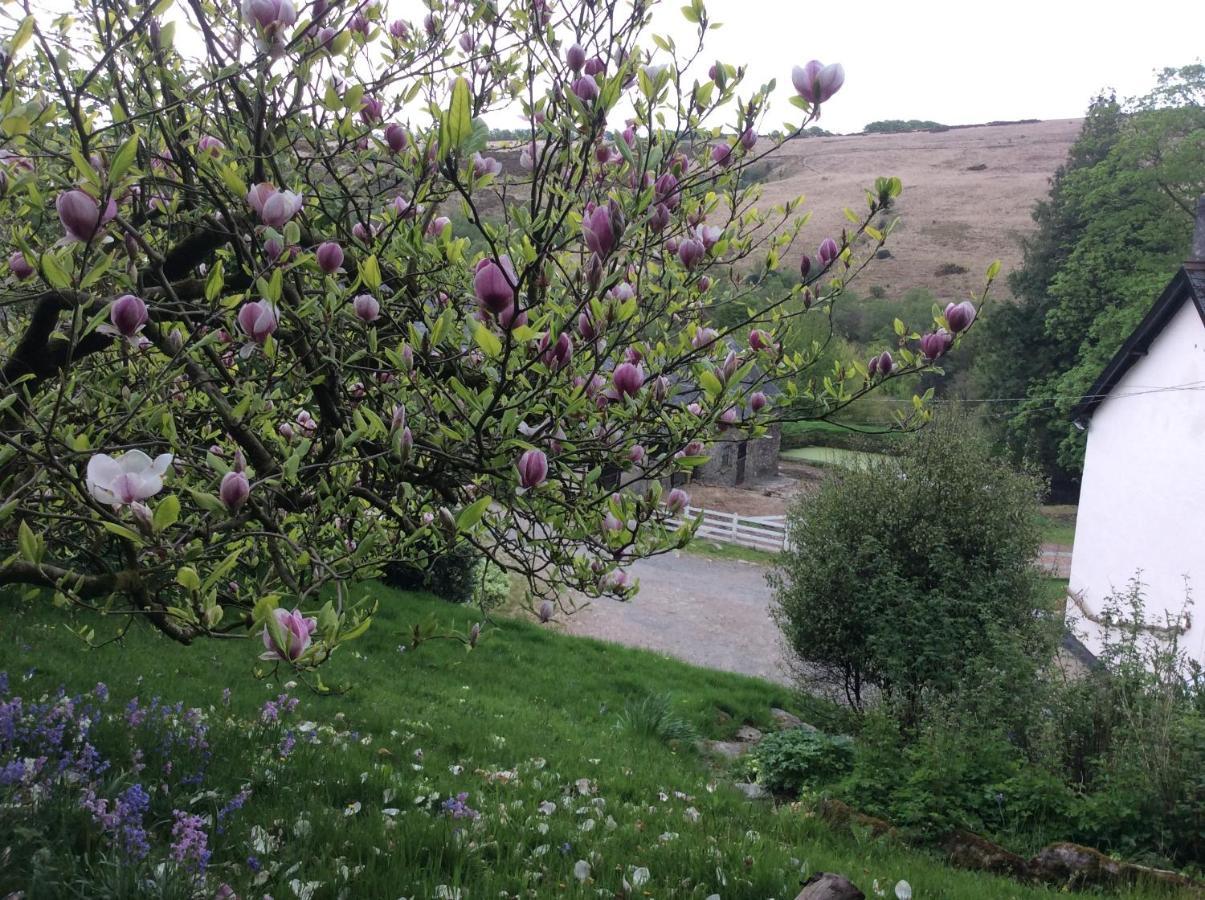 Zeal Farm Bed and Breakfast Dulverton Buitenkant foto